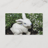 Carte De Visite Modèle de lapin ! (Dos)