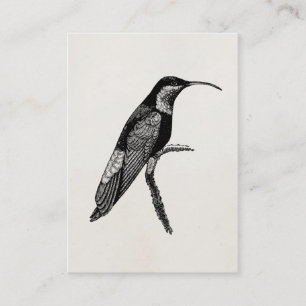 Carte De Visite Modèle vintage d'illustration d'oiseau de colibri