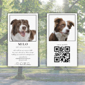 Carte De Visite Moderne Élégant Photo Dog Pet Social Media Code QR