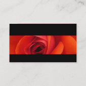 Carte De Visite Moderne II - Rose rouge (Dos)