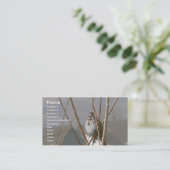 Carte De Visite Moineau de chanson (Debout devant)