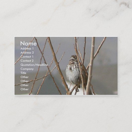 Carte De Visite Moineau de chanson (Devant)