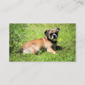 Carte De Visite Molly (Dos)