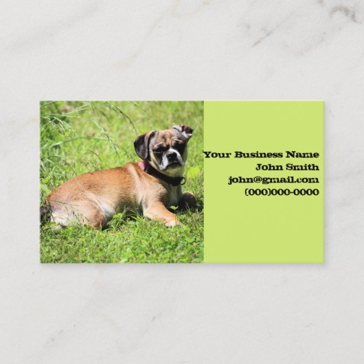 Carte De Visite Molly (Devant)