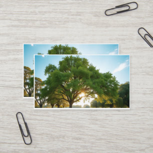 Carte De Visite Moment de calme avec un grand arbre