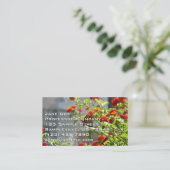 Carte De Visite Monarque papillon sur Buddleia rouge (Debout devant)