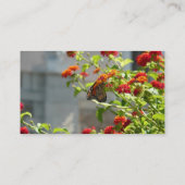 Carte De Visite Monarque papillon sur Buddleia rouge (Dos)