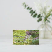 Carte De Visite Monarque sur Buddleia (Debout devant)