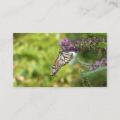 Carte De Visite Monarque sur Buddleia (Dos)