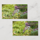 Carte De Visite Monarque sur Buddleia (Devant / Derrière)