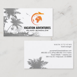 Carte De Visite Mondial Global Avion Voyage