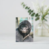 CARTE DE VISITE MONKEY (Debout devant)