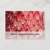 CARTE DE VISITE MONOGRAMME CROTALUS (Dos)