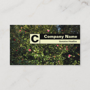 Carte De Visite Monogramme de bord - Camellia Bush