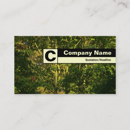 Carte De Visite Monogramme sur arête - Branches japonaises 05 (Devant)