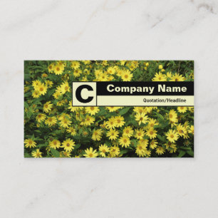 Carte De Visite Monogramme sur bordure - Faisceaux jaunes