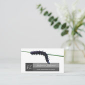 Carte De Visite Monographie du rectangle gris amoureux de la natur (Debout devant)