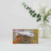 CARTE DE VISITE MONTAGNE (Debout devant)