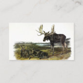 Carte De Visite Moose Deer (Moose - Alces alces) par Audubon (Dos)