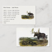 Carte De Visite Moose Deer (Moose - Alces alces) par Audubon (Devant / Derrière)