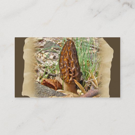 Carte De Visite Morel Mushroom (Dos)