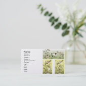 Carte De Visite Motif coréen1 (Debout devant)