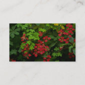 Carte De Visite Motifs de nature (Dos)