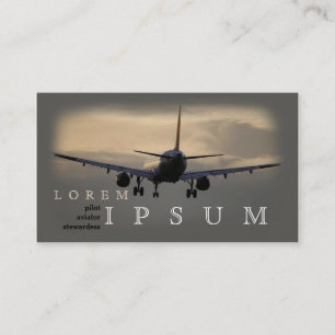Carte De Visite Mouche pilote de voyage de ciel d'avion d'hôtesse