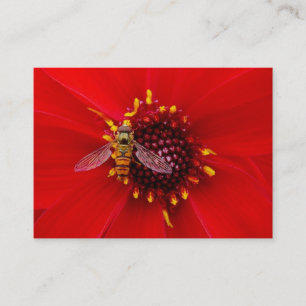 Carte De Visite Mouche Volante sur un Dahlia, Mini Photo