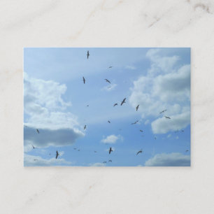 Carte De Visite Mouettes