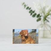 Carte De Visite mouillé (Debout devant)