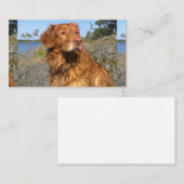 Carte De Visite mouillé (Devant / Derrière)