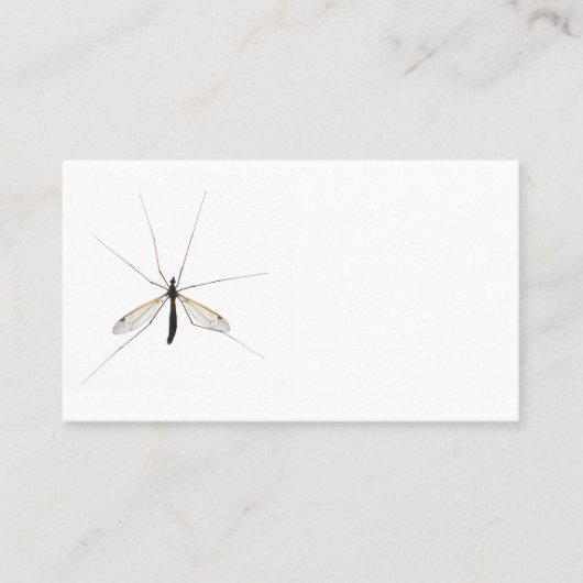 Carte De Visite Moustique (Devant)