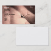 Carte De Visite Moustique mort (Devant / Derrière)