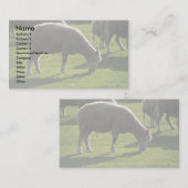 Carte De Visite Mouton (Devant / Derrière)