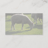Carte De Visite Mouton (Dos)