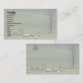 Carte De Visite Mouton (Devant / Derrière)