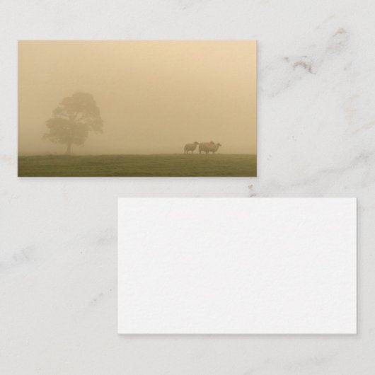 Carte De Visite Mouton dans le brouillard (Devant / Derrière)
