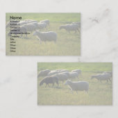 Carte De Visite Moutons (Devant / Derrière)