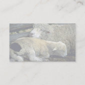 Carte De Visite Moutons (Dos)