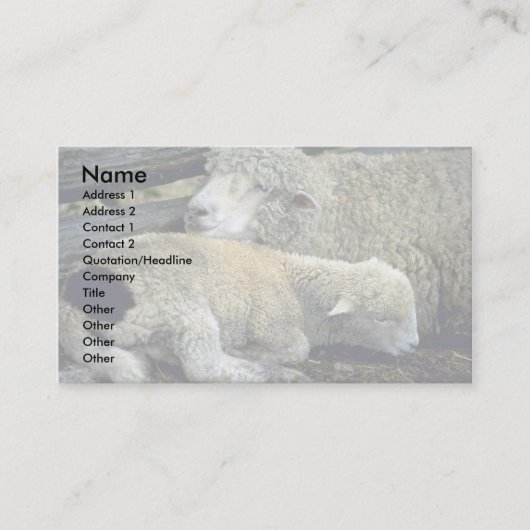 Carte De Visite Moutons (Devant)