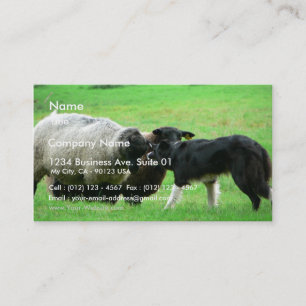 Carte De Visite Moutons et chien de moutons sur le champ