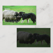 Carte De Visite Moutons et chien de moutons sur le champ (Devant / Derrière)
