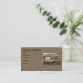 Carte De Visite Moutons - moutons en champ de Heather (Debout devant)