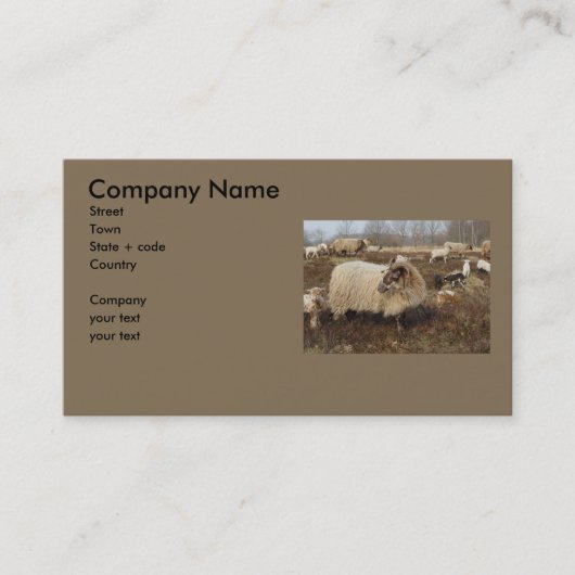 Carte De Visite Moutons - moutons en champ de Heather (Devant)