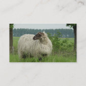 Carte De Visite Moutons sans cornes (Dos)