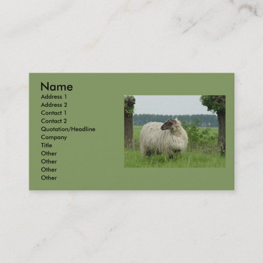 Carte De Visite Moutons sans cornes (Devant)