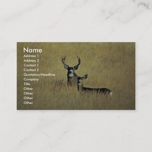 Carte De Visite Mule Deer (Devant)