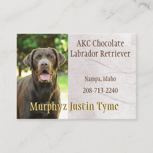 Carte de visite Murphys (Devant)