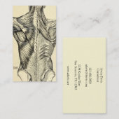 Carte De Visite Muscles du dos d'art humain d'anatomie (circa (Devant / Derrière)